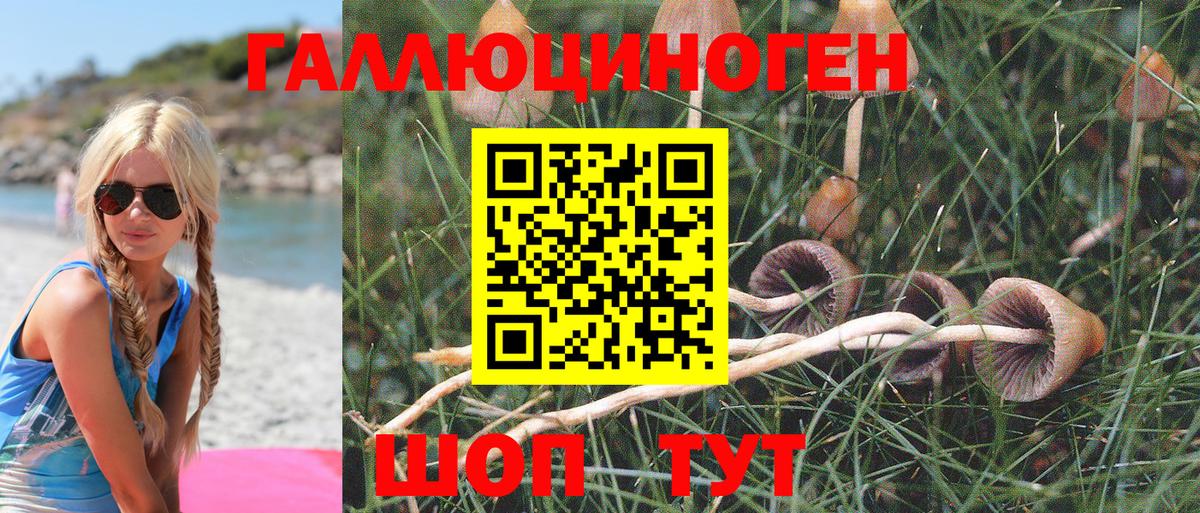 сколько стоит  Вход с VPN  Шатура  Псилоцибиновые грибы GOLDEN TEACHER 