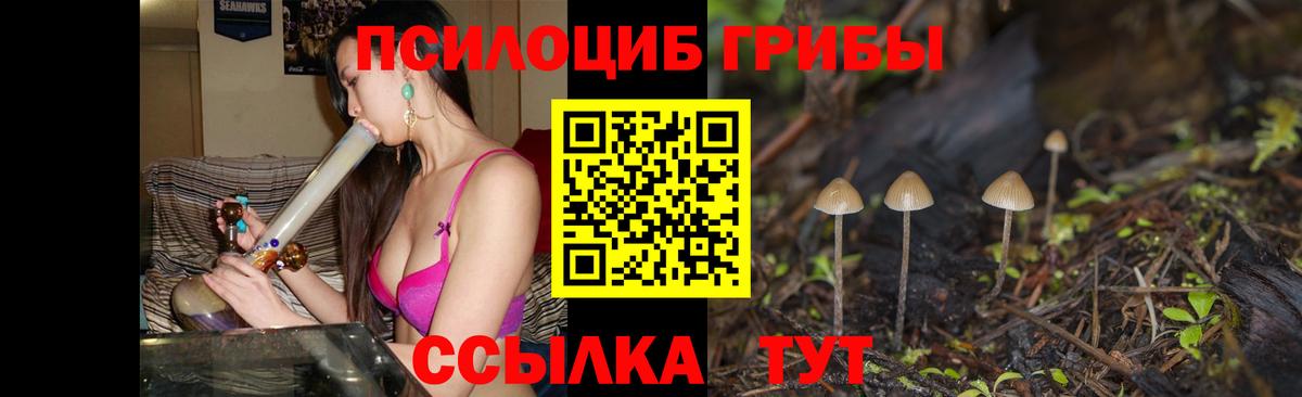 Галлюциногенные грибы Psilocybine cubensis Шатура